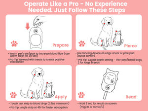 Nécessité vétérinaire, faible MOQ, outil de gestion du diabète canin le plus vendu, testeur de glycémie réutilisable, sûr, fiable, facile à utiliser - Product Image 4