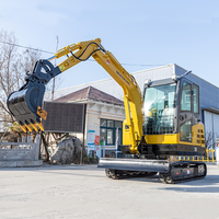 Livraison gratuite de porte à porte Euro 5 Mini pelleteuse hydraulique 0.8 tonnes 1t 1700 kg 3,5 tonnes Mini-pelleteuses avec pouce à vendre