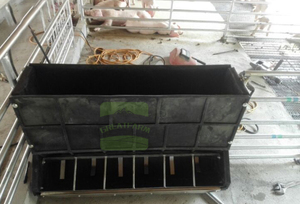 New GREAT-FARM Piglet Welfare Double-Sided Feeder-Durable Stainless Steel Creep Feeder 3 Months Warranty for Early Weaning - Product Image 5