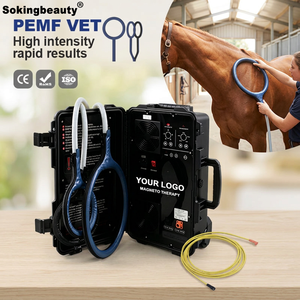 เครื่อง PEMF พกพาสะดวกแบบ ODM OEM ช่วยเร่งการฟื้นฟูบาด<span class=keywords><strong>แผล</strong></span> อุปกรณ์บำบัดด้วย PEMF สำหรับคลินิกสัตว์เลี้ยง - Product Image 1