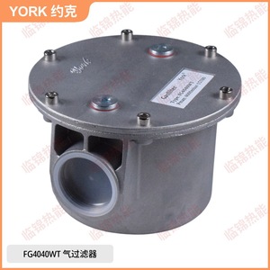 Filtros Roscados/Con Brida YORK Nuevos FG4015 4025 4040 4050WT para Gas Natural, Aplicaciones Farmacéuticas, Agrícolas e Industriales - Product Image 3