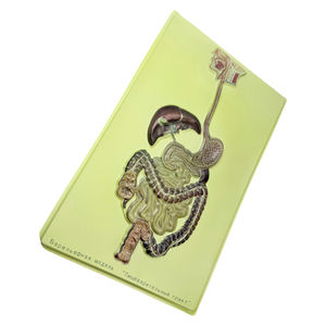 Equipo de enseñanza, modelo de sistema, biológico - Product Image 2