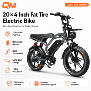 Bicicleta Eléctrica de Montaña QMWHEEL V20 Limited, 48V, para Adultos, con Neumáticos Anchos, Frenos Hidráulicos, Venta al Por Mayor de Fábrica, Suministro OEM ODM B2B - Product Image 1