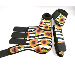 <span class=keywords><strong>Cavallo</strong></span> da equitazione e <span class=keywords><strong>cavezza</strong></span> - Product Image 6