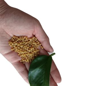 Phosphate di-ammonique jaune (NH4)<span class=keywords><strong>2</strong></span>(<span class=keywords><strong>HPO4</strong></span>) 16-45-0 Engrais chimique (DAP) avec vente directe d'usine - Product Image 5