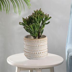 Super <span class=keywords><strong>septembre</strong></span> style simple motif moucheté porcelaine maison jardin succulentes jardinière <span class=keywords><strong>en</strong></span> céramique pots de <span class=keywords><strong>fleurs</strong></span> - Product Image 2