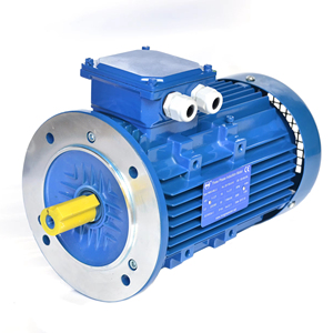 Motor Asíncrono Industrial Trifásico de 0.75 HP, 3000 rpm, 0.55 kW, de Inducción, Precio Económico, Gran Venta - Product Image 1