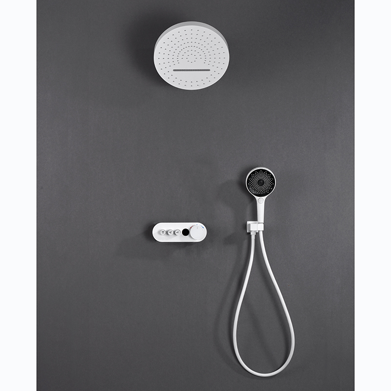 2026 Bathroom New Wall Mounted Rain