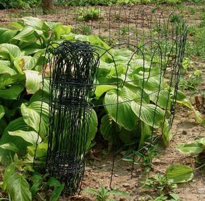 Màu Xanh Lá Cây Vườn Biên Giới Gấp Hàng Rào Cuộn/PVC Coated Lawn Edging Ngoài Trời - Product Image 4