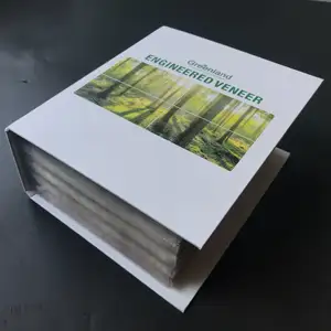 Engineered wood veneer and dyed veneer sample book 200 hundreds options