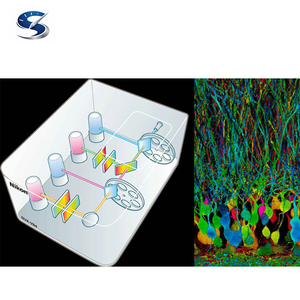 Microscope confocal multiphoton AX R MP avec NSPARC, qui révèle clairement la structure fine et profonde des échantillons vivants - Product Image 4
