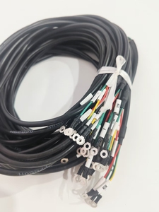 Fabrik OEM Angepasstes Rot-Schwarzes Stromkabel für Roboter KI Elektronik CNC JST-Steckverbinder TÜV für RoHS-konform 22-28AWG - Product Image 4