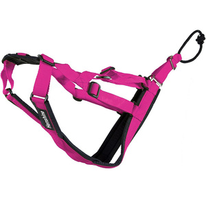 Arnés para perros, accesorio personalizado, duradero, suave y ajustable - Product Image 3