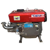Ensemble moteur diesel ZS1115 22 CV à démarrage électrique, puissance élevée, moteur diesel Changfa pour l'agriculture africaine, garantie 1 an