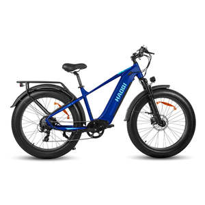 Bicicleta Eléctrica Todoterreno HAOQl 2.0 con Motor Trasero de 250W, Alcance de 60km, Cuadro de Aluminio, 7 Velocidades Ajustables - Product Image 1