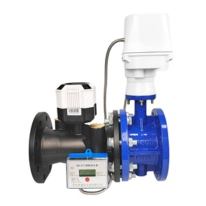 Dn100 Lorawan Ultrasonic <b>Water</b> <b>Meter</b> Dn50 Dual Remote Reading Smart Lorawan Ultrasonic <b>Water</b> <b>Meter</b> Dn50 - Product Image 2