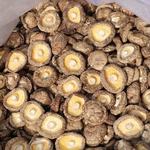 Champiñones Cultivados Naturales Puros, Champiñones Liofilizados, Champiñones Orgánicos, Alimentos, Champiñones Mágicos - Product Image 2