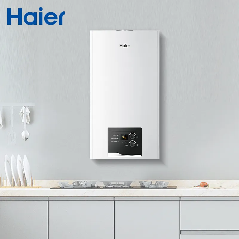 Fournisseur chinois Haier Chaudière à vapeur murale à gaz à circulation populaire pour chauffage central domestique