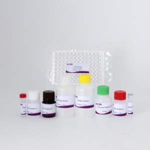 Porcine fmdv o-loại VP1 kháng thể Elisa Kit | 96t/192T | thú y Kit chẩn đoán cho lợn | ISO chứng nhận - Product Image 2