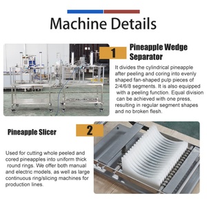 Línea de Pelado y Corte de Piña Rentable para Piña en Anillos, Rodajas o Cuñas - Product Image 3