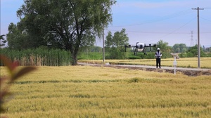 FP300 Drone Agriculture Sprayer High Efficiency Agricultural Spraying Drone for Fertilizer - Product Image 4