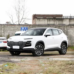 2022 1.6T King PLUS JETOUR Dasheng Oil Car