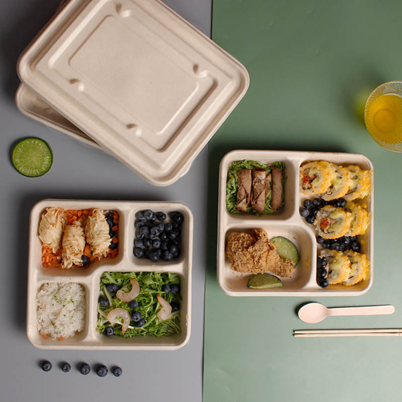 High Quality Eco-friendly Disposable Biodegradable Sugarcane Bagasse Tableware Manufacturer's Paper Plates Bowls Food Container