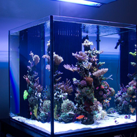 300 Gallonen Großes Zylindrisches Umweltfreundliches Kunststoff-Aquarium