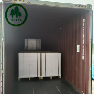 Suministro Directo de Fábrica de Papel Offset sin Madera de Alta Calidad para Impresión de Diccionarios en el Mercado Brasileño - Product Image 6
