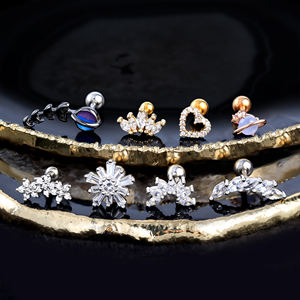 Sexe 2025 Hotselling <span class=keywords><strong>Oreille</strong></span> <span class=keywords><strong>Tragus</strong></span> Cartilage Boucles D'oreilles Helix Daith Body Piercing Bijoux Avec <span class=keywords><strong>Prix</strong></span> De Gros - Product Image 2