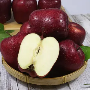 fresh apples exporters High quality fresh red delicious fruit huaniu apples