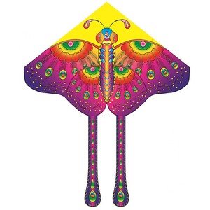 Livraison gratuite, cerfs-volants dragon, cerfs-volants <span class=keywords><strong>papillon</strong></span>, cerfs-volants aigle, cerfs-volants delta, jouets d'extérieur pour enfants, cerfs-volants triangle, cerfs-volants diamant, cerfs-volants aigle - Product Image 6