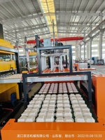 Nouvelle machine automatique de formage de boîtes repas en mousse PS, contrôlée par PLC, pompe à moteur 380V 204kW, haute sécurité, écologique, garantie 1 an
