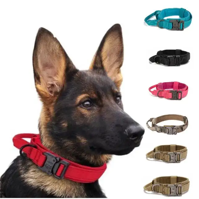 Tali anjing kerah timbal tali anjing, tali anjing perlengkapan hewan peliharaan taktis dapat disesuaikan kerah hewan peliharaan gesper logam kalung anjing