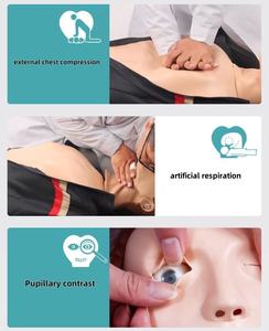 Maniquí de RCP de Medio Cuerpo para Adultos de Alta Calidad, Tamaño Real, Material de PVC Avanzado - Venta Directa del Fabricante - Product Image 3