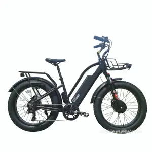 Dual Motor Beach Cruiser 24Inch 48V Font 500W Rear 750W Bafang Motor Fat Tire Step Thru Electric City Bike