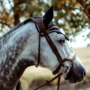 อุปกรณ์ขี่ม้าหนังแท้คุณภาพสูง Annabelle Equestrian แบบดั้งเดิม ราคาขายส่งจากผู้ผลิตและผู้จัดจำหน่ายอุปกรณ์ขี่ม้า - Product Image 1