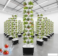 Système de culture verticale hydroponique commercial à 60 sites pour serres agricoles, culture de légumes, livraison économique
