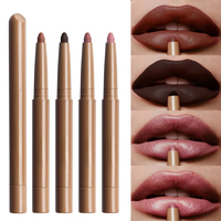 Crayon à lèvres longue durée, double embout, imperméable, mat, velouté, vegan, brun foncé, volumateur, avec logo personnalisé, crème minérale, peptides