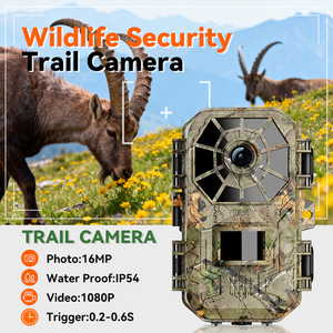 กล้องบันทึกวิดีโอแบบพกพาขนาดเล็ก กันน้ำ ตรวจจับความเคลื่อนไหวด้วย PIR สำหรับบันทึกภาพหมี กวาง นก มองเห็นในเวลากลางคืน - Product Image 4