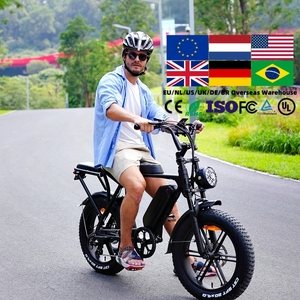 For 20-Inch V8 with Lithium Battery 750W Motor Aluminum <b>Frame</b> 70km Range for Adults - Product Image 6
