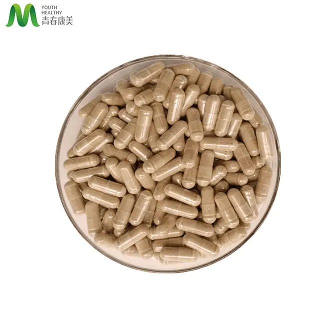 Booster immunitaire OEM ODM Cordyceps Militaris Capsules 250MG 500MG 800MG