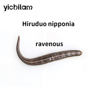 Sangues-fraîches vivantes médicinales Hirudo Nipponia, directement de l'usine, extrait de Sangues-fraîches Nipponia