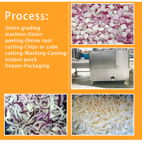 Automatische Mango Clean Machine Date Wax Grade Lijn Dragon Fruit Wassen En Drogen Bladgroente Voor Boerderij