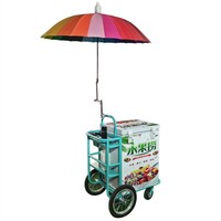Camion électrique de glace, vélo électrique, réfrigérateur, chariot à fleurs, vélo avec cuisine complète, chariot à fleurs