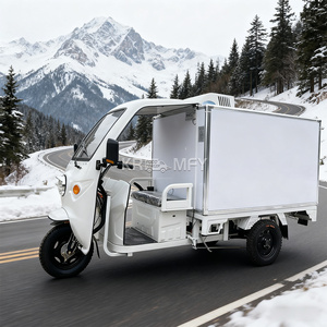 Tricycle frigorifique commercial 2025, boîte de chargement, stockage mobile, chambre froide pour les vendeurs ambulants - Product Image 4