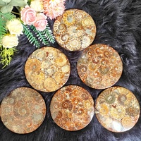 Fósil de amonita al por mayor, fósil natural para Reiki, piedra de cristal curativa para decoración del hogar