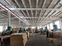Planches de première qualité certifiées, en eucalyptus de 18 mm, avec film phénolique, E1, 1 an de garantie, noires, imperméables, résistantes à l'humidité, pour usage extérieur