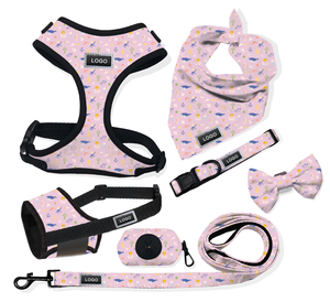 All-in-One Set kerah <span class=keywords><strong>Harness</strong></span> anjing ukuran kecil dan tali pengikat kulit PU tahan air lepas cepat dan PVC dibuat dari poliester - Product Image 5