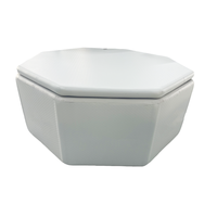 DWF Matériau durable 6-8 personnes Groupe Cold Plunge Session Bain de glace gonflable Baignoire de piscine